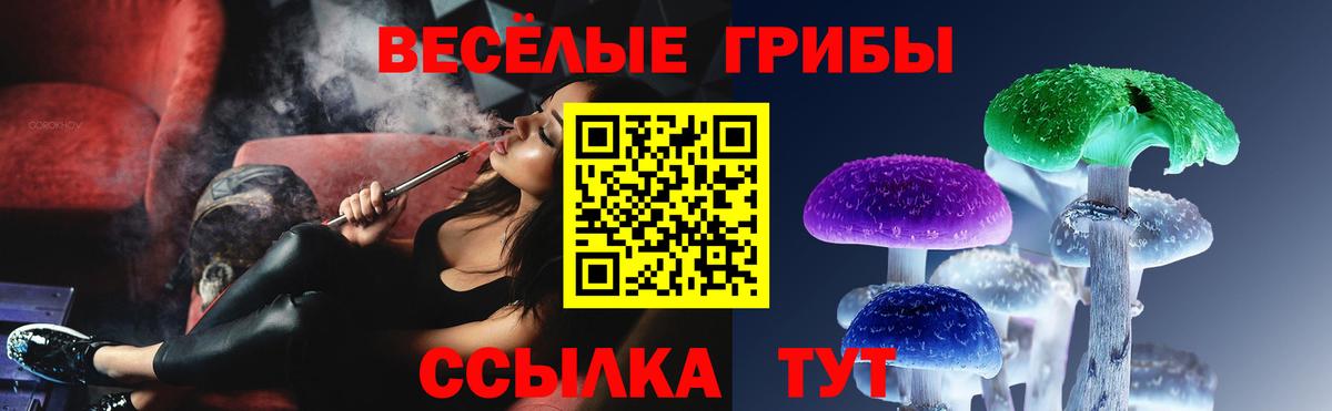 Псилоцибиновые грибы мицелий Россошь